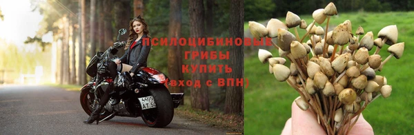 mdpv Алзамай