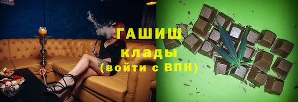 мет Алексин