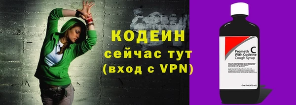прущий лед Пересвет