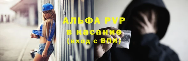 мет Алексин
