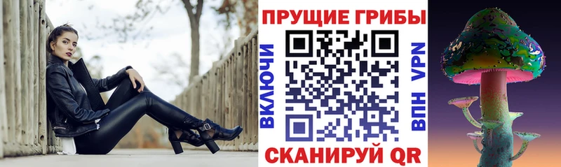 OMG зеркало  Дзержинский  Галлюциногенные грибы мицелий 
